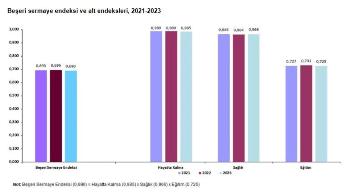 beseri sermaye endeksi 2023te 0690 Kn4iFxjJ