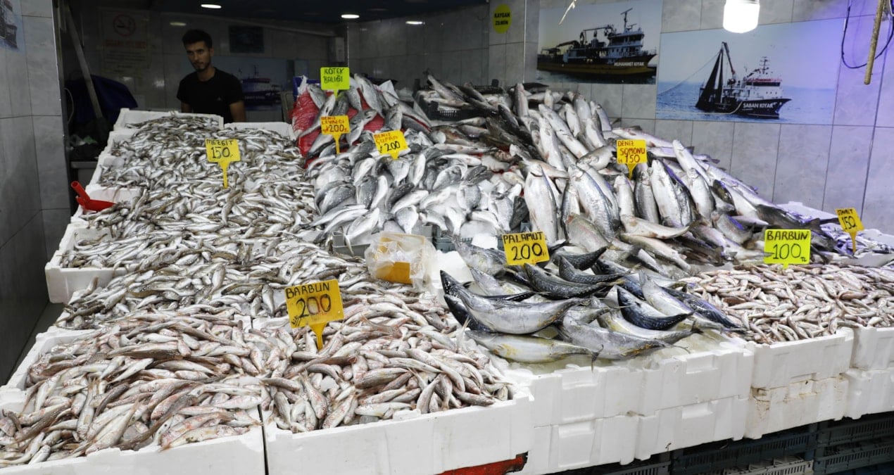 Hamsi, istavrit, barbun ve mezgit bolluğu başladı: Tezgahlarda fiyatlar 100 liradan başlıyor
