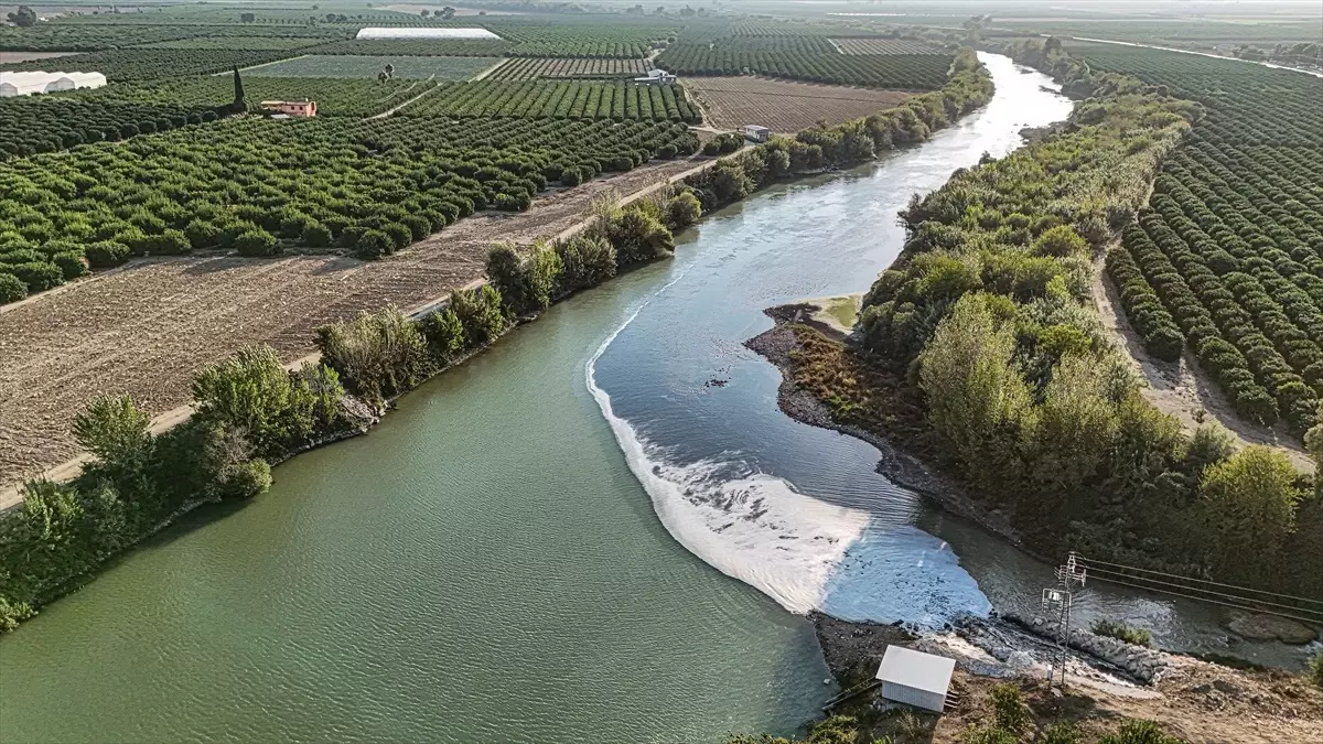 Ceyhan Nehri’nde Balık Ölümleri İnceleniyor
