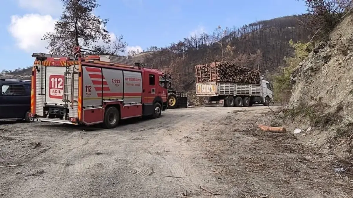 Dörtyol’da İş Makinesi Uçuruma Yuvarlandı, Operatör Hayatını Kaybetti
