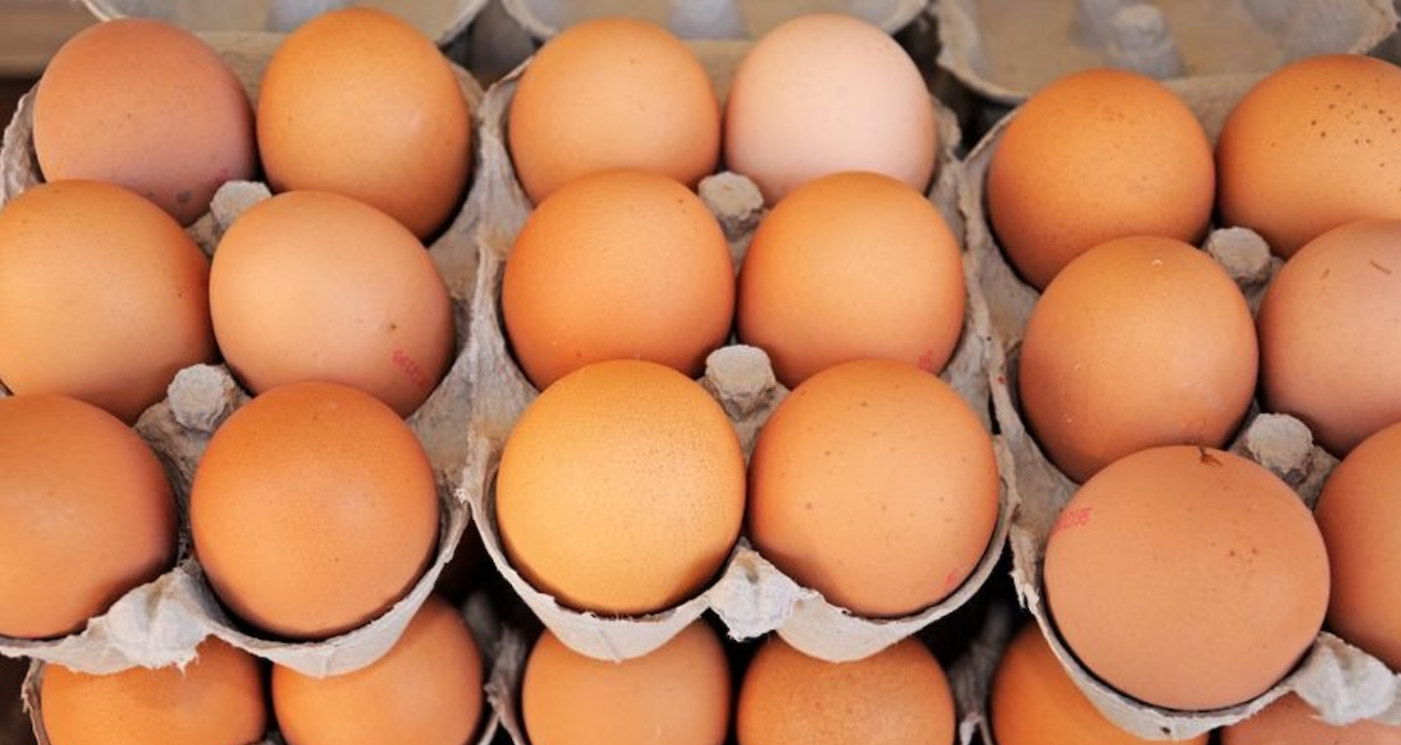 Yumurta krizi kapıda: Üretimde sert düşüş