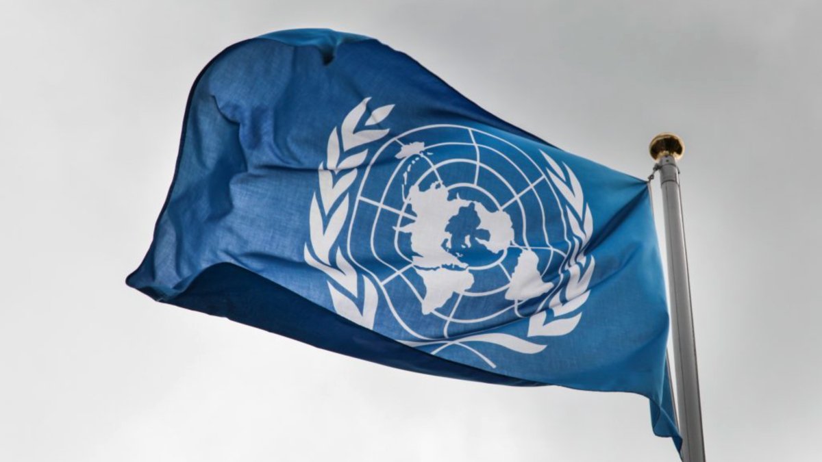 BM Paneli: İsrail fiili işkence politikası yürütüyor