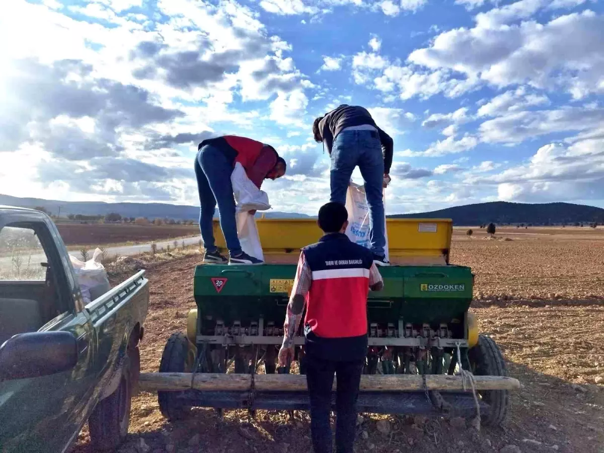 cavdarhisarda tohum dagitimi ve ekim calismalari basladi Rlu7Pj1n.jpg