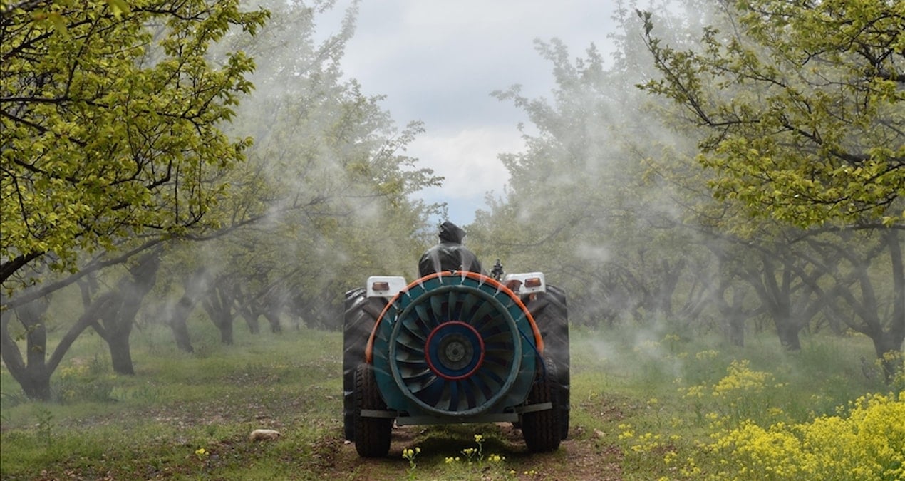 Gıdalarda pestisit limitleri güncellendi: Listeye bu bitki de eklendi