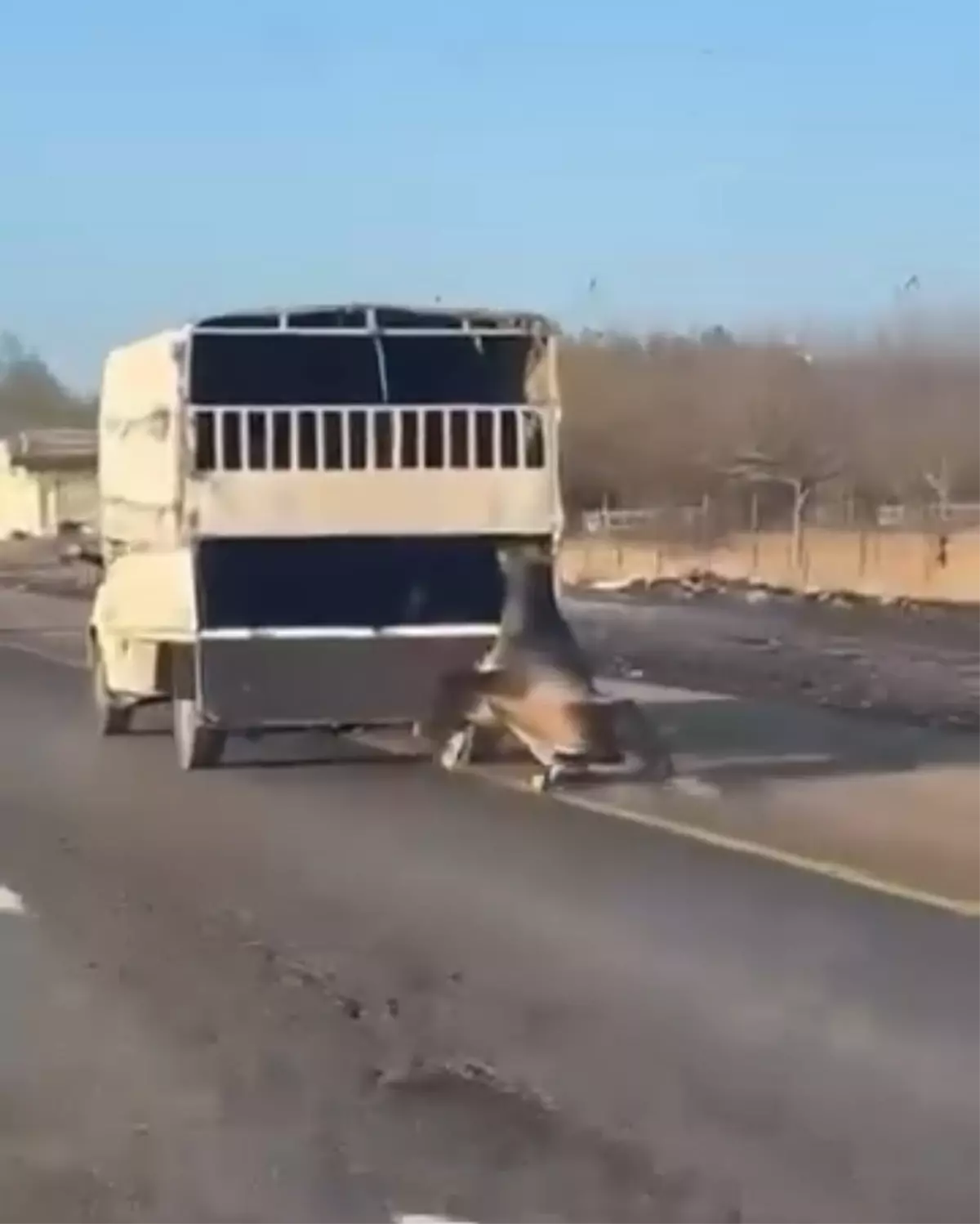 Kamyonetle At Sürükleyen Sürücü Ceza Alabilir