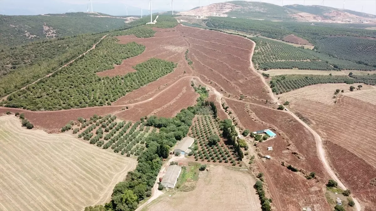 orman genel mudurunden fidan projesine destek vDfBGBif.jpg