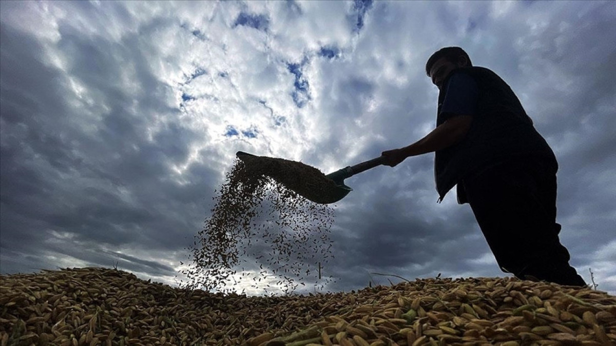 zirai don desteginde ureticilere 17 milyar lira daha odenecek yB3qe4SJ.jpg