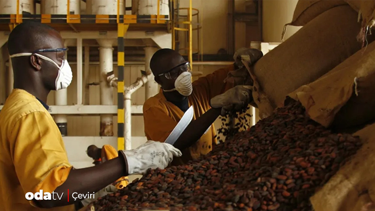 150 milyar dolarlık pazarın yalanı… ‘Etik çikolata’ masalı