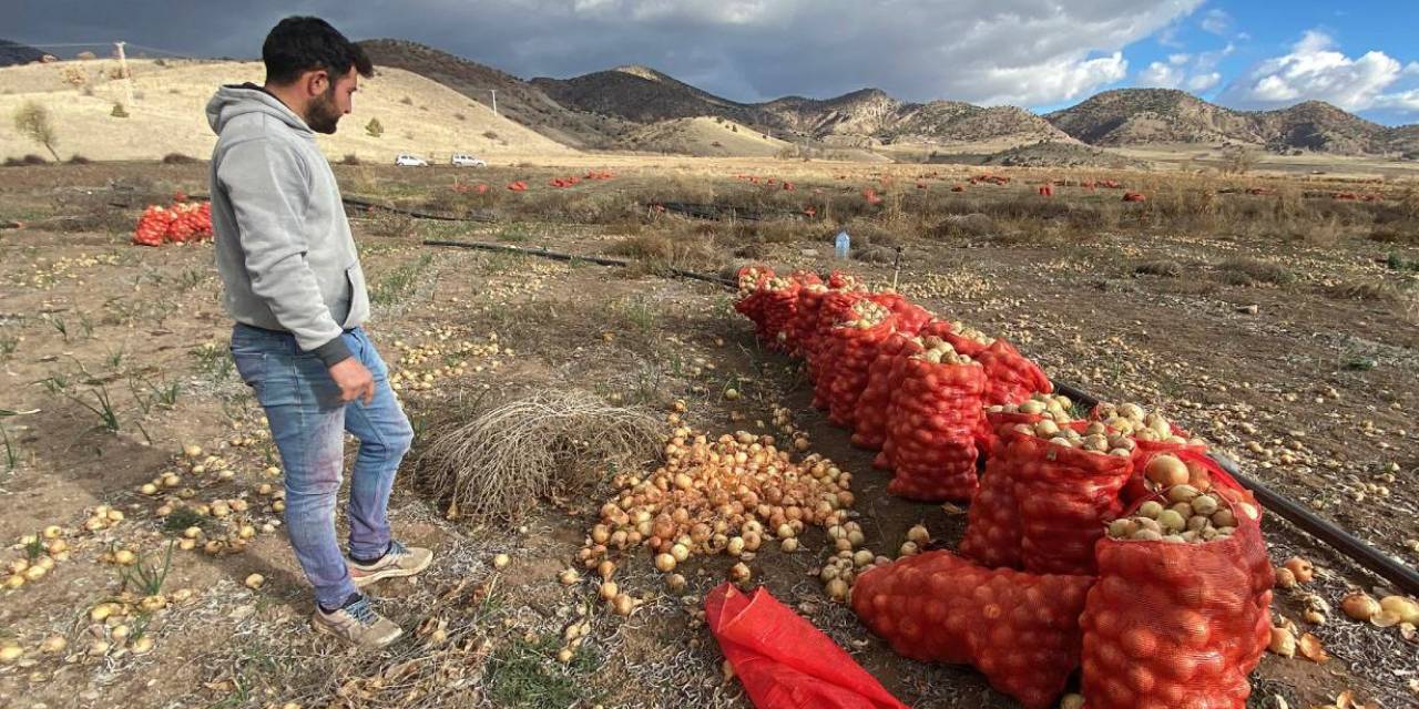 Pazarda 15 lira tarlada bedava!