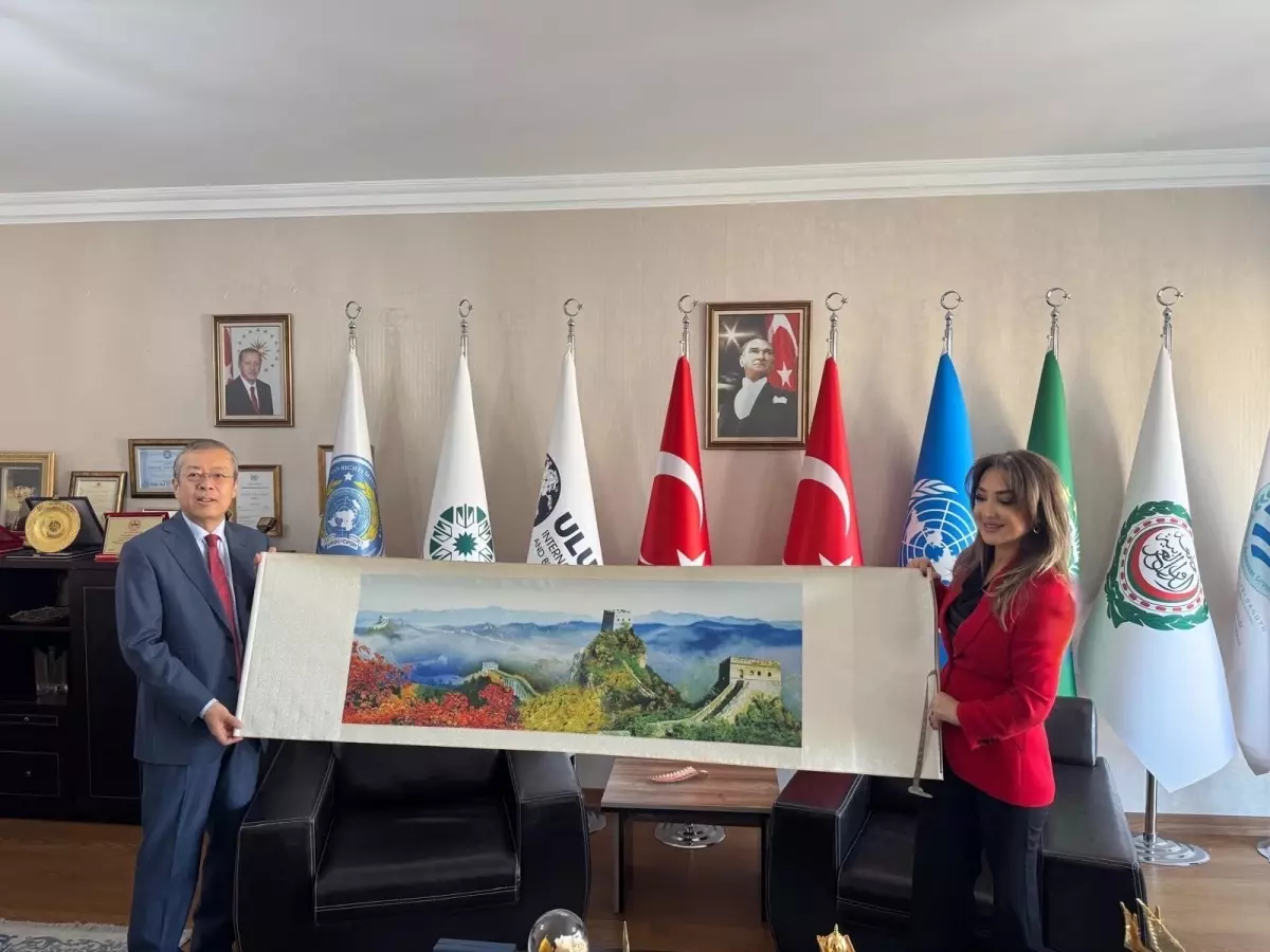 Türkiye-Çin Yatırım Görüşmeleri